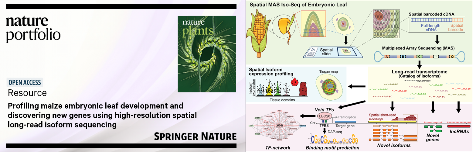 2026-08-19_NaturePlants